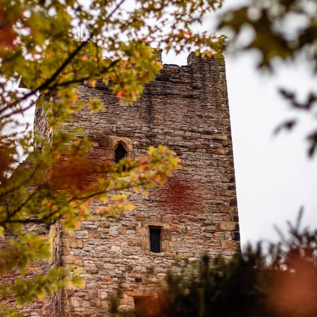 Richmond Castle, seen through trees