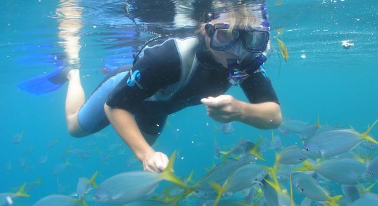 Explore Palau via Snorkeling & Kayaking