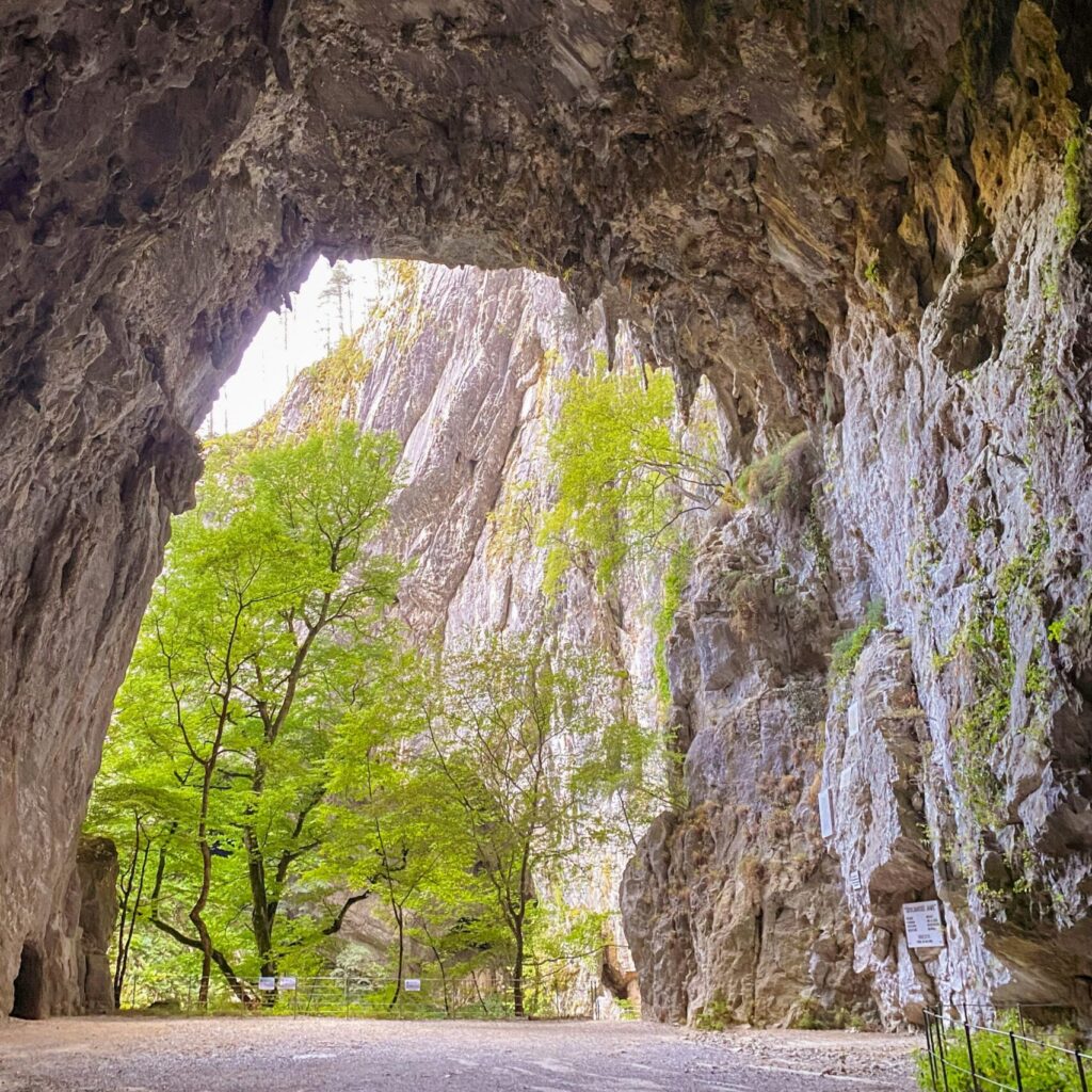 Dramatic archway of a cave mouth