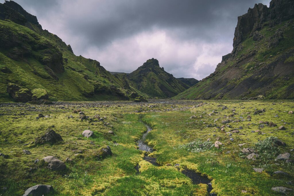 A moody green Icelandic landscape