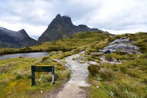 A jagged mountain and a winding trail through lush grass set the enchanted, green scenery on the Milford Track in New Zealand