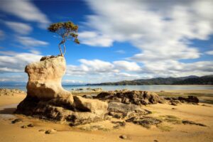 a blue sky with white fluffy clouds above low tide at Tineline Bay NZ, part of the Abel Tasman track