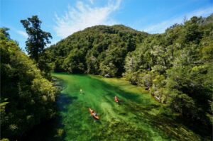 A lush green rover gorge with people kayaking in gorgeous emerald water on the Whanganui Journey, a New Zealand Great Walk 